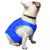 Pet Cooling Dog Vest size: xs to large